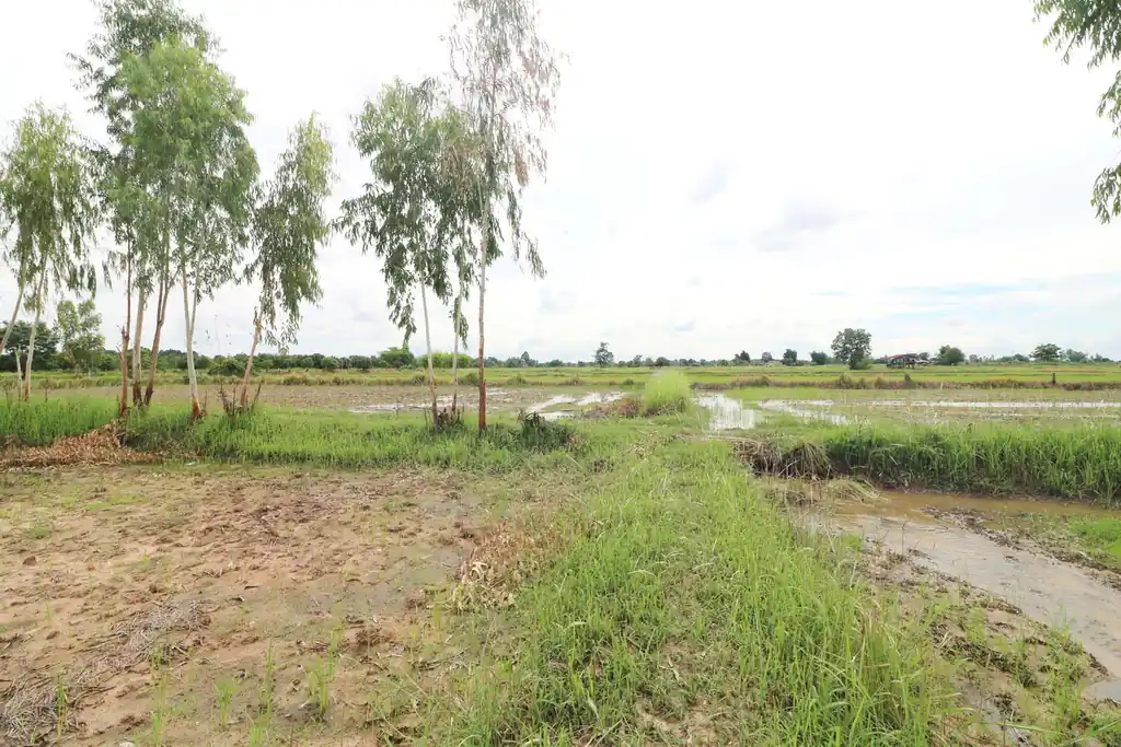 5+ rai of land for sale in Ban Tat, Udon Thani, photo 2