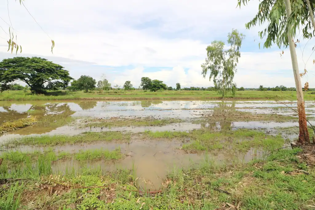 5+ rai of land for sale in Ban Tat, Udon Thani, photo 4