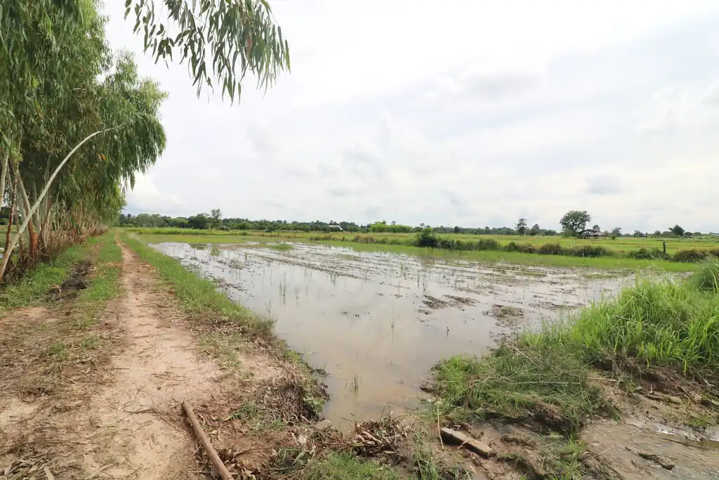 5+ rai of land for sale in Ban Tat, Udon Thani, photo 9