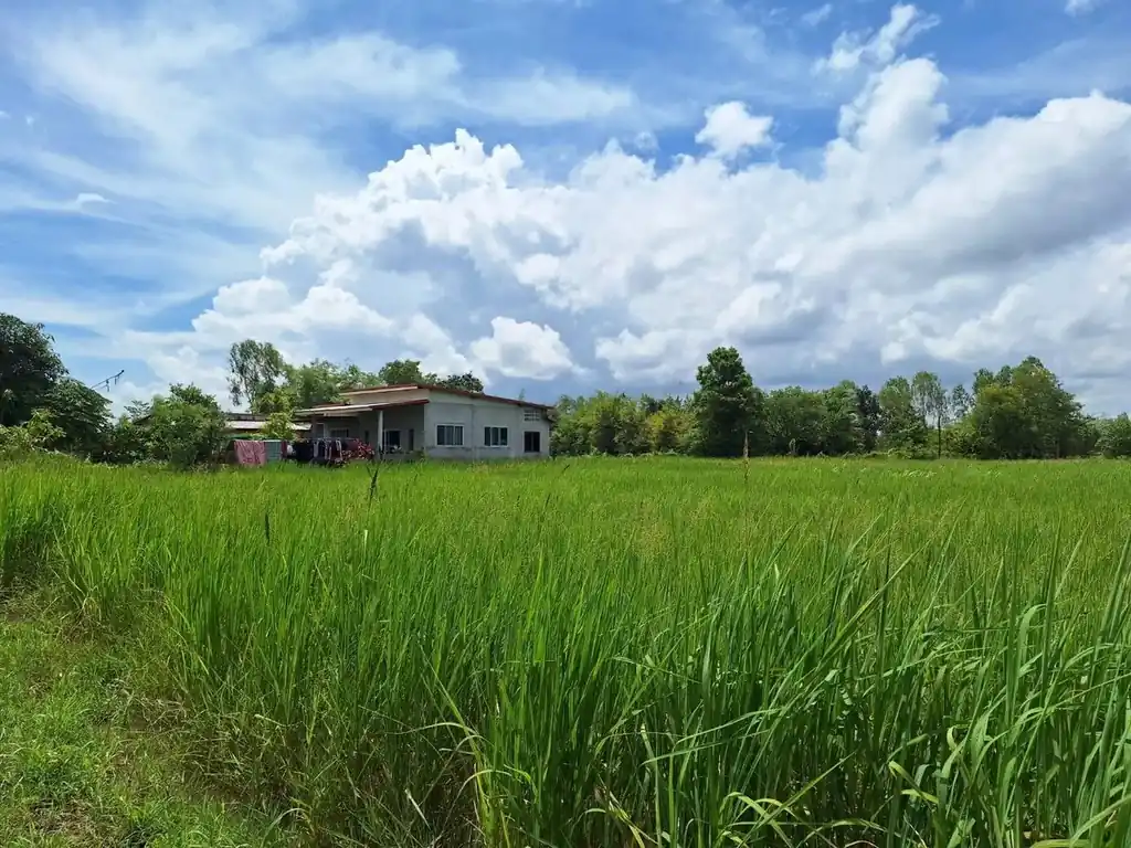 2,638 sq m flat land plot for sale near Udon Thani city, photo 4