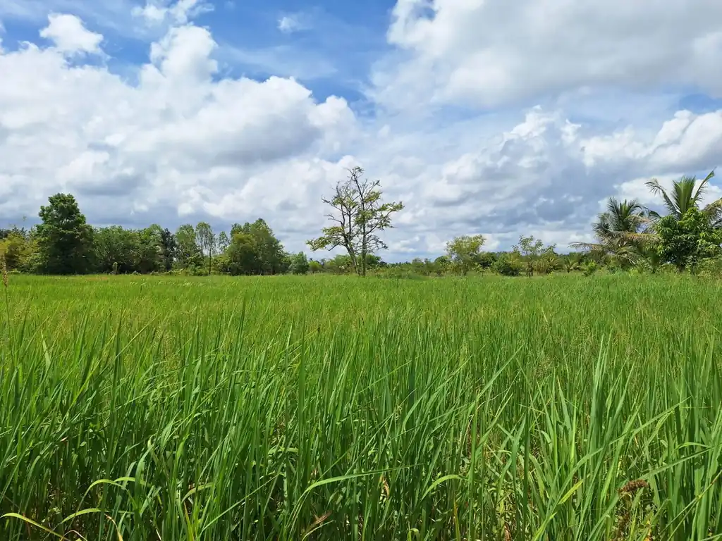2,638 sq m flat land plot for sale near Udon Thani city, photo 5