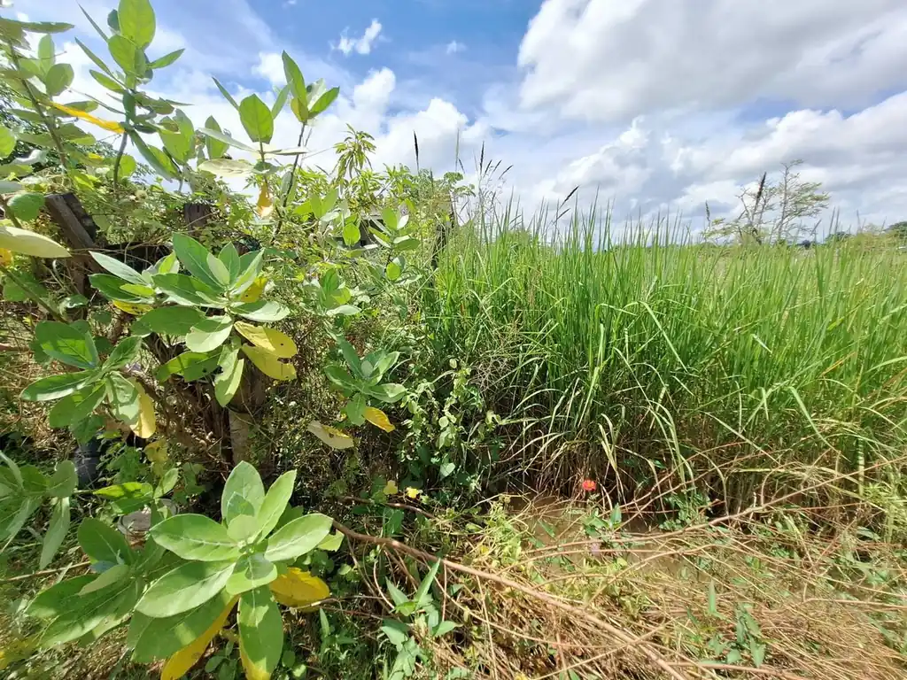 2,638 sq m flat land plot for sale near Udon Thani city, photo 7