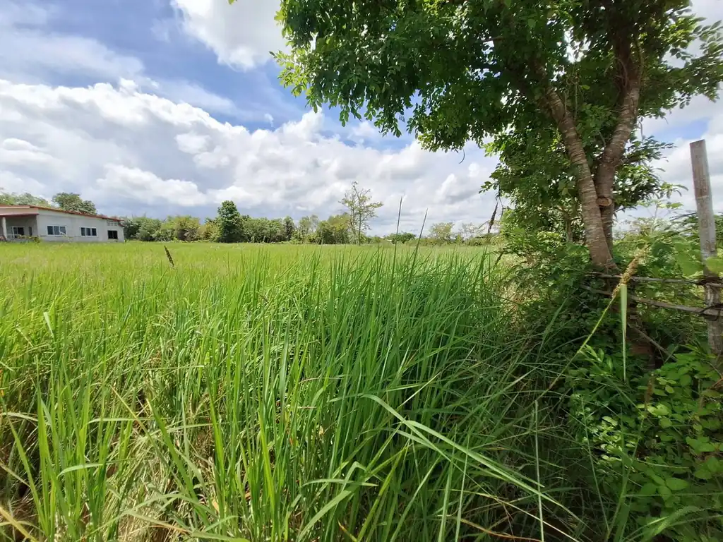 2,638 sq m flat land plot for sale near Udon Thani city, photo 8