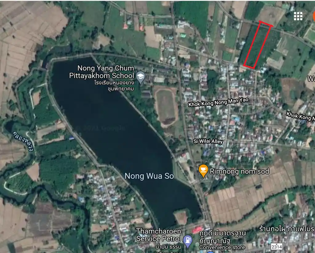 3.69 rai home site with rubber trees for sale near Nong Wua So, Udon Thani, photo 13