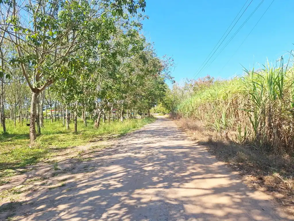 3.69 rai home site with rubber trees for sale near Nong Wua So, Udon Thani, photo 2