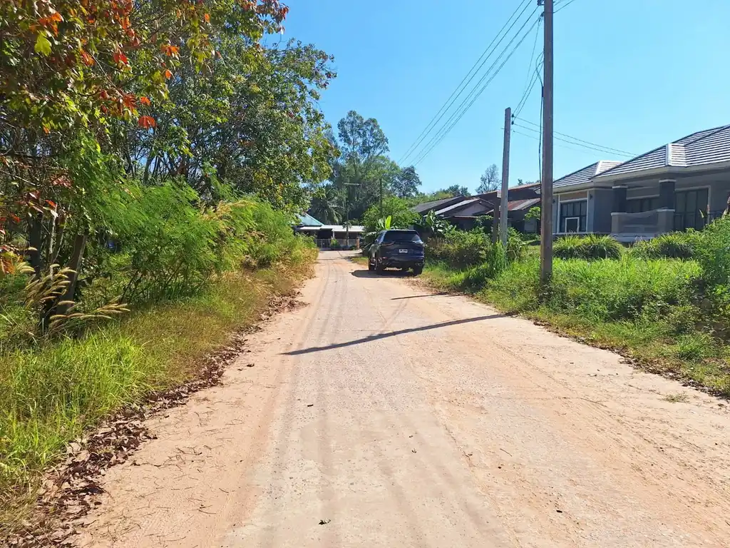 3.69 rai home site with rubber trees for sale near Nong Wua So, Udon Thani, photo 6