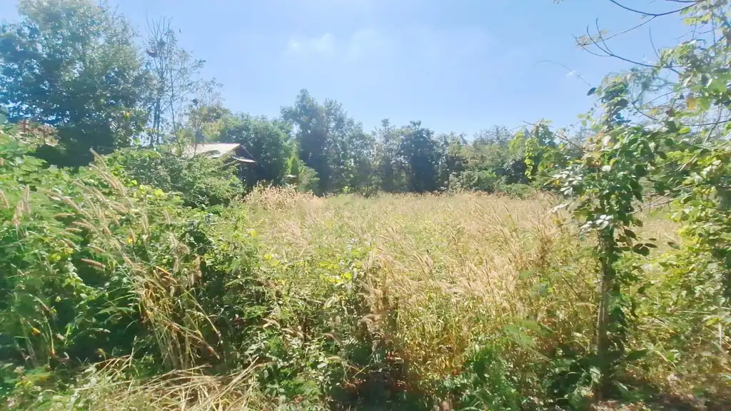 1 rai of freehold land for sale near Kut Chap, Udon Thani, photo 4