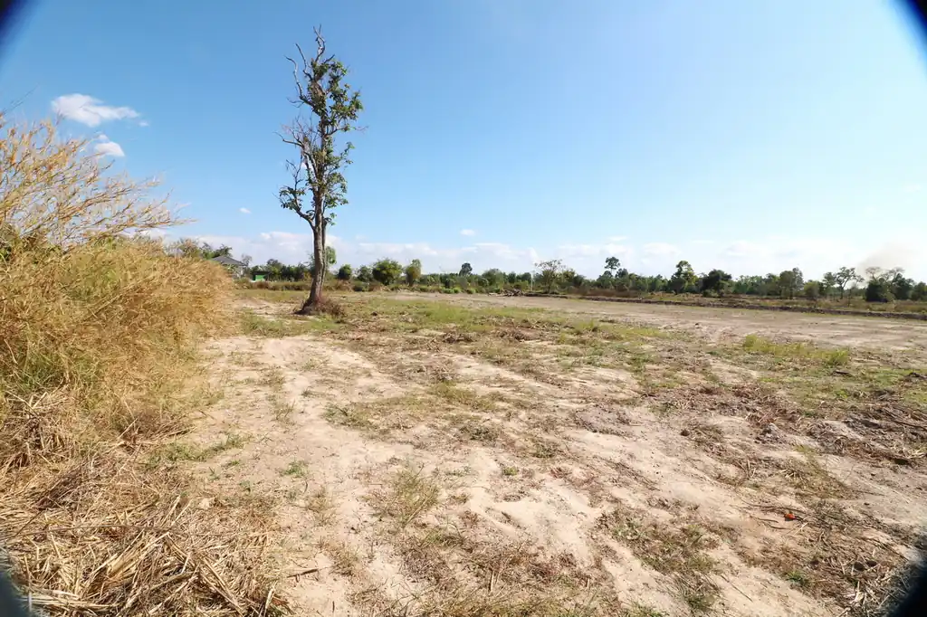 1 to 3 rai of land for sale in Non Sung, Udon Thani, photo 12