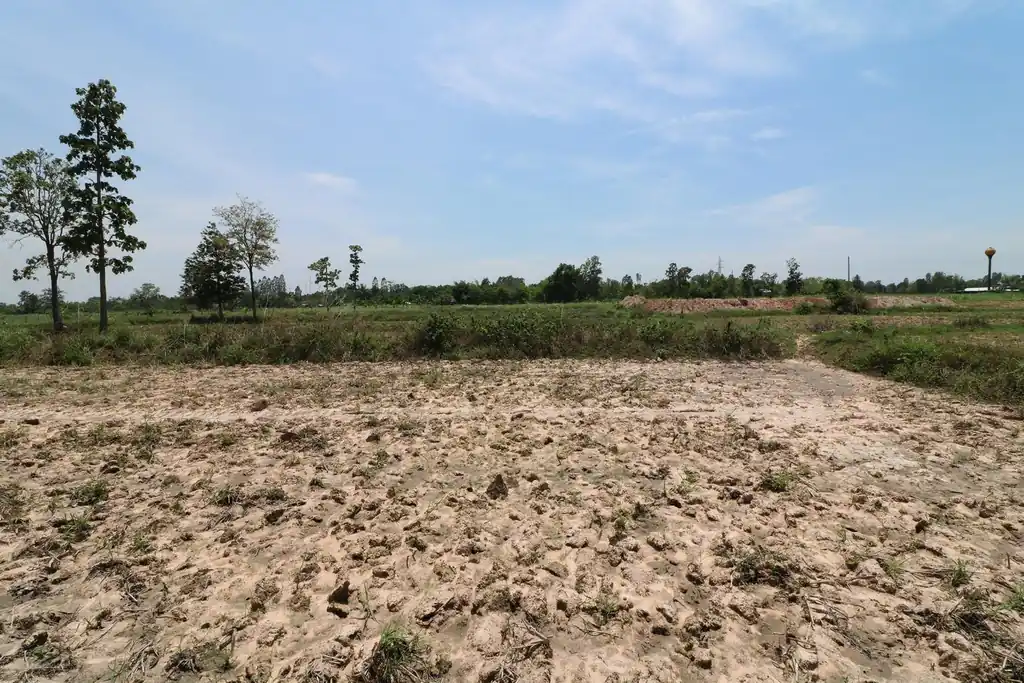 9 rai of prime land for sale near Nong Han, Udon Thani, photo 4
