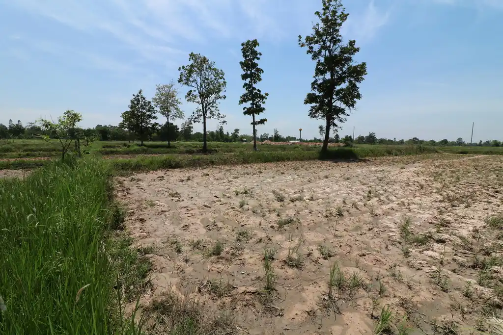 9 rai of prime land for sale near Nong Han, Udon Thani, photo 5