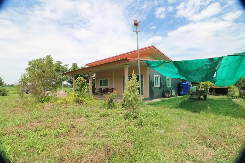 Kratom plantation with residence for sale – 25 rai agricultural business in Nong Bua Lam Phu, photo 5