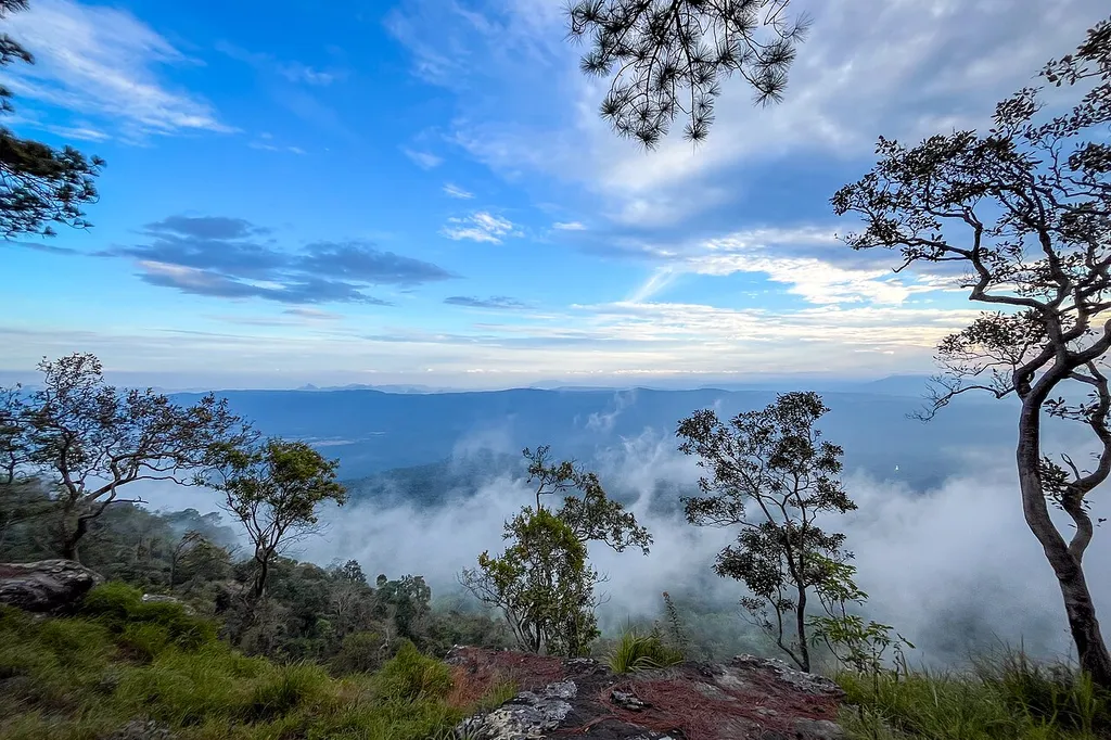 Morning mist below the cliffs of Phu Kradueng